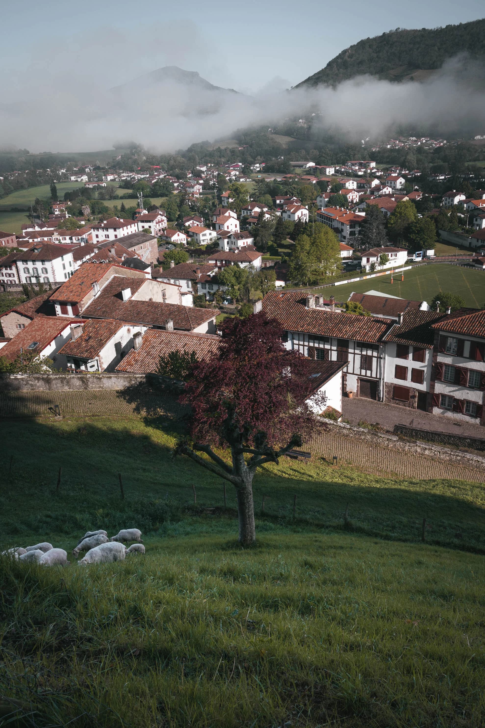 Top 8 Lesser-Known Camino Routes Worth Exploring in 2026