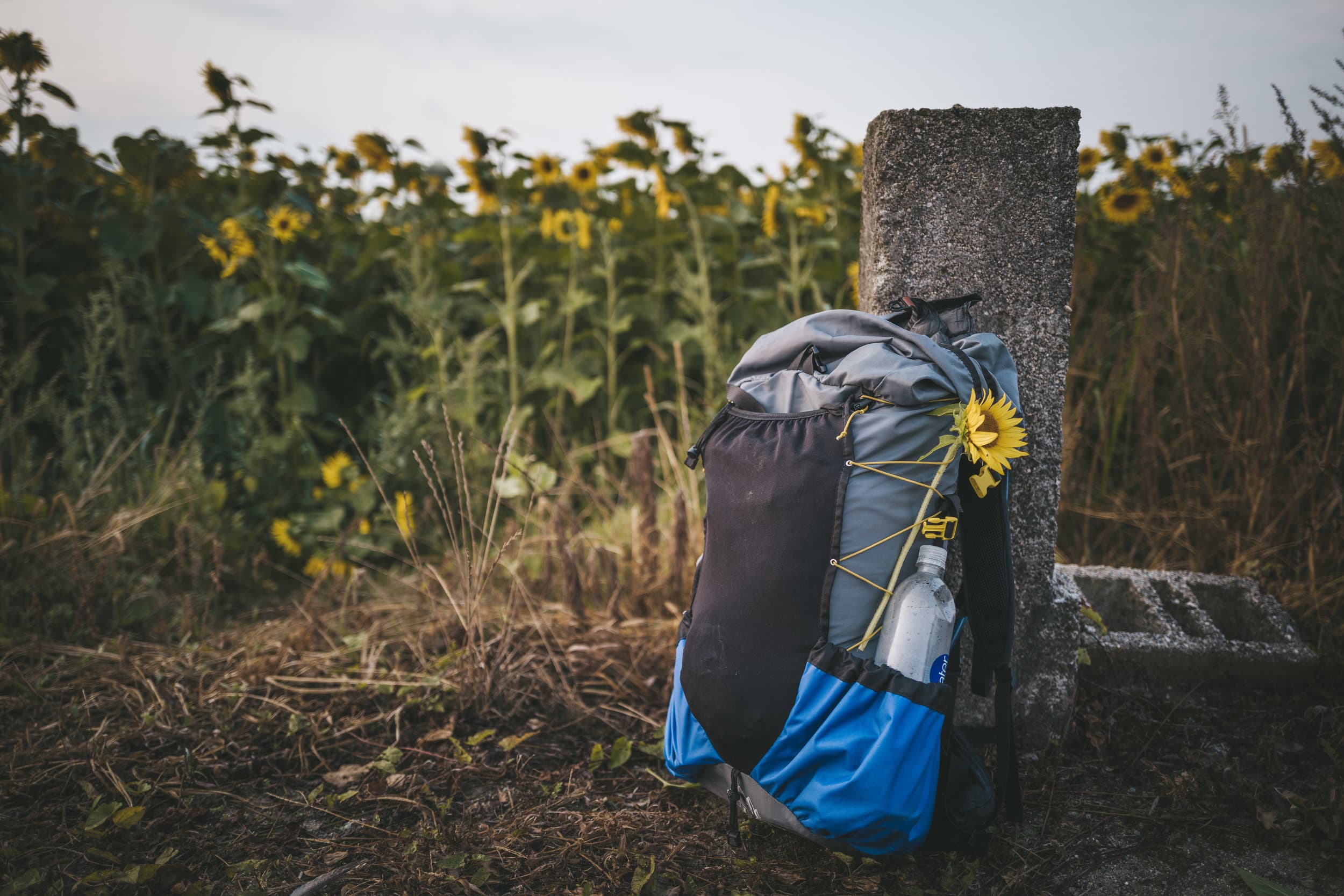 Top 7 Budget-Friendly Albergues Along the Camino Francés