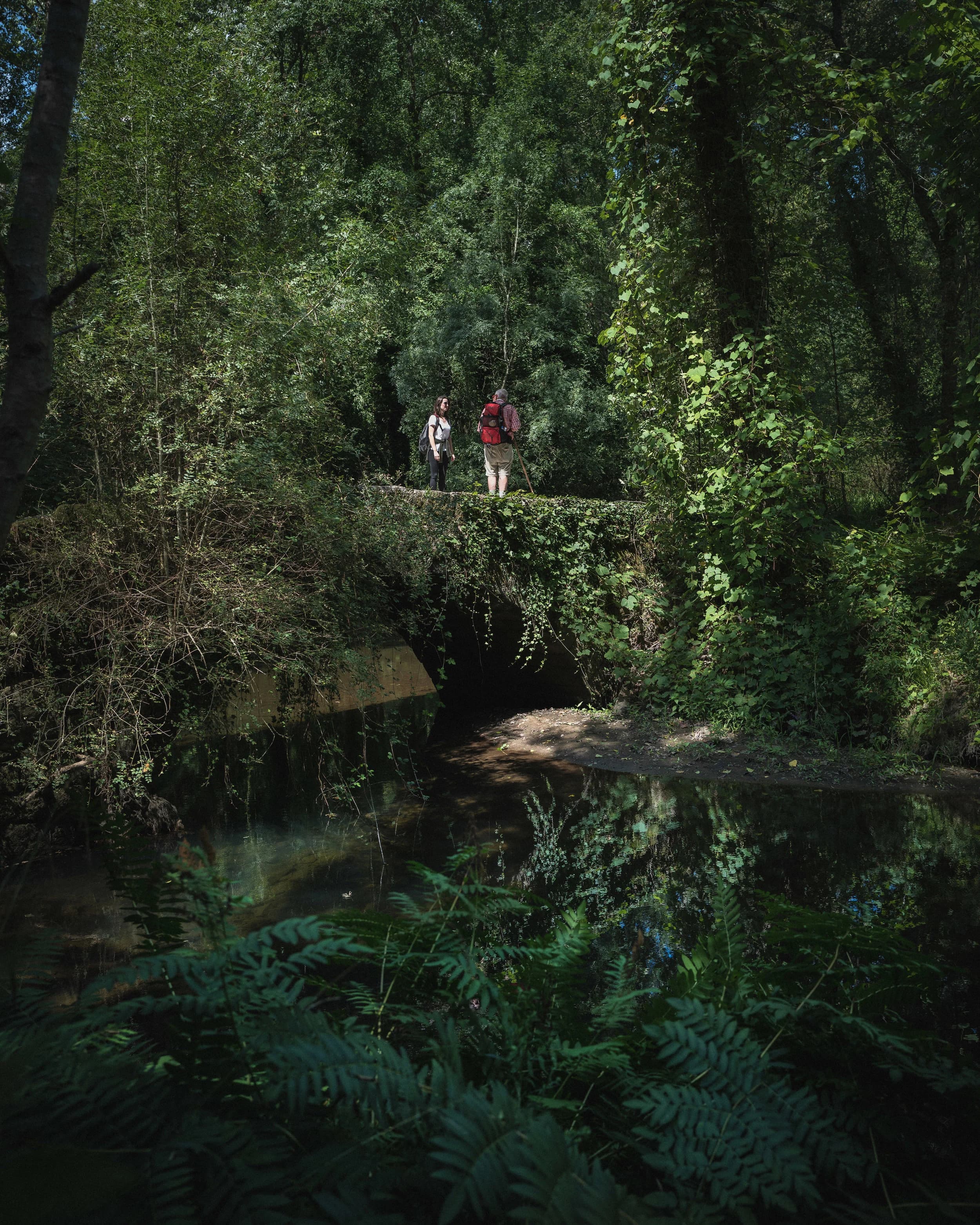 How to Navigate Language Barriers on the Camino: Essential Spanish Phrases for Pilgrims