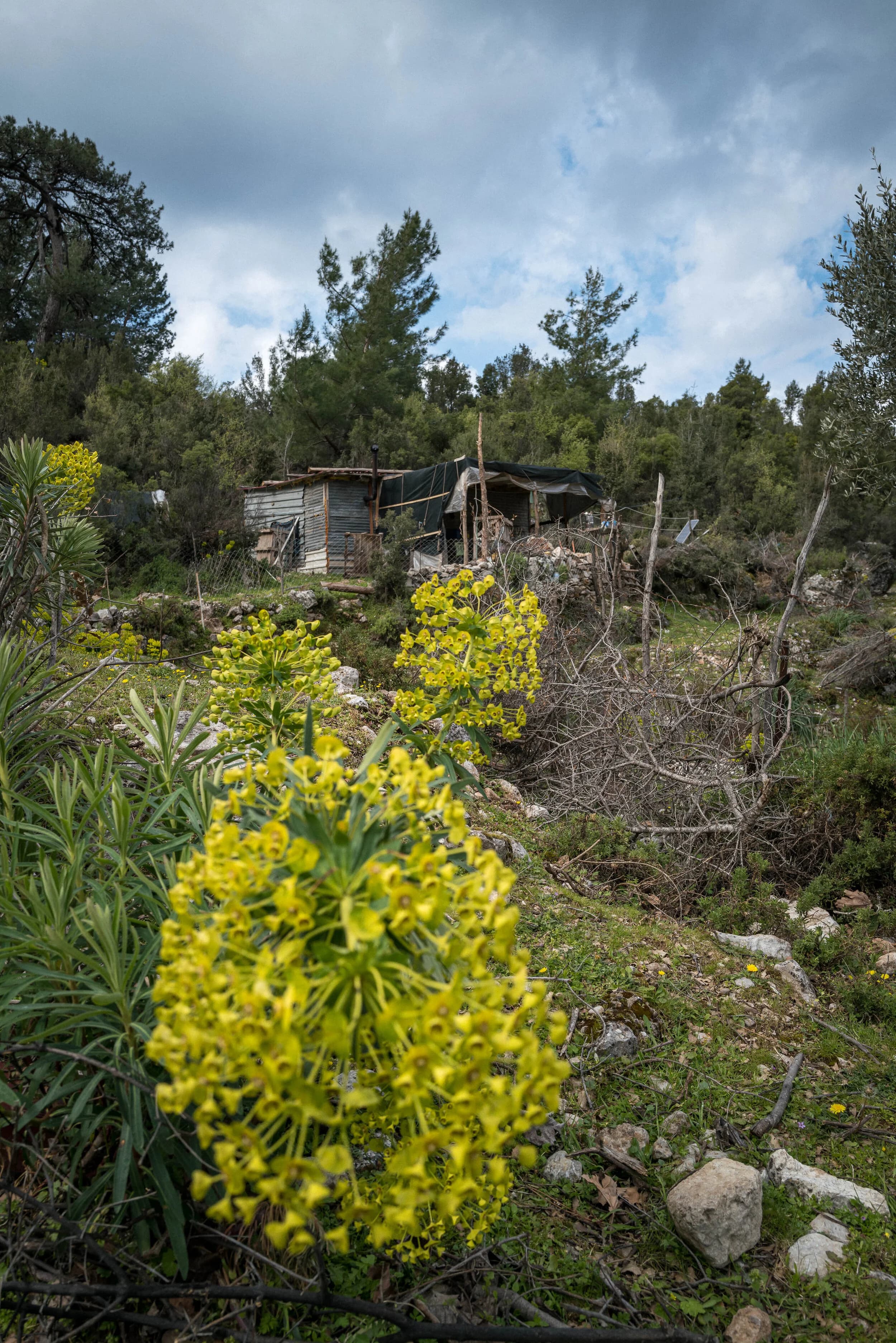 what does a rest day on the camino actually look like?