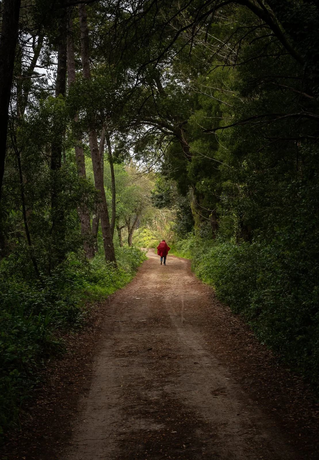 Top 8 Strength Exercises to Prepare Your Body for the Camino