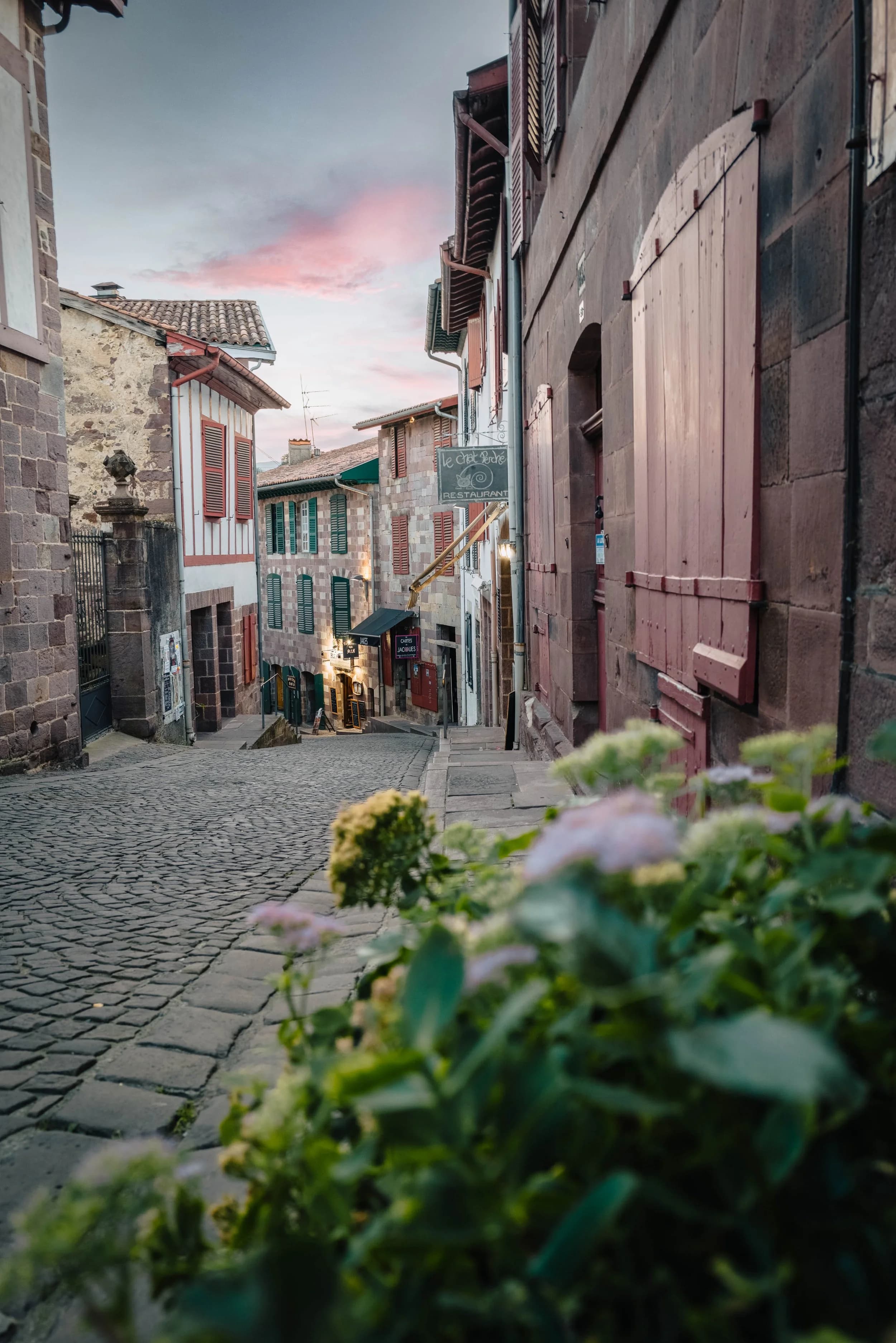 Morning light over the path on the Camino Frances