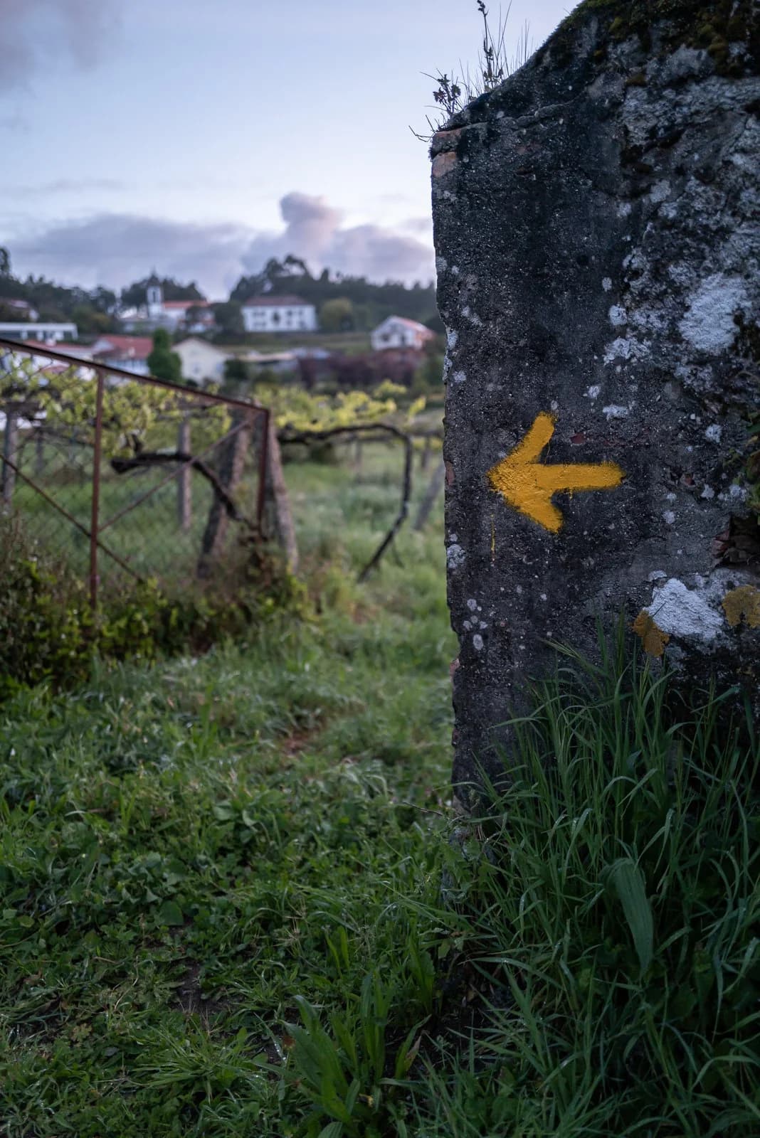 Waymarked coastal path on the Camino Portugues
